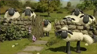 Shaun the sheep dark💀📸