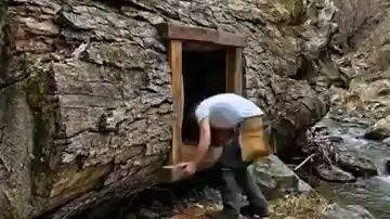 I_build_Cozy_dog_house_from_old_tires_#offgrid_#build_#cozy_#diy_#doglover