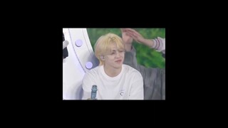 He's really a big Kkuma🐕 Members patting his head🍒#seventeen #scoups #mingyu #hoshi #dk #dino #jun