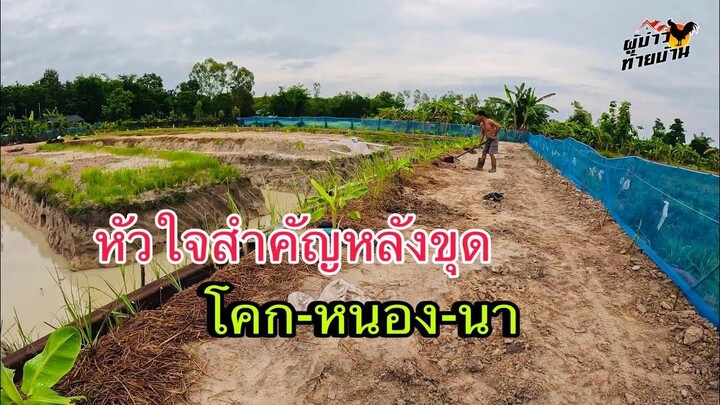 หัวใจสำคัญหลังขุด โคก-หนอง-นา  โมเดล