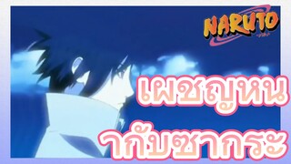 เผชิญหน้ากับซากุระ