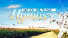 🎹 🎻 Relaxing Worship Hymns – Life Hymns Worship Trio | Instrumental Music