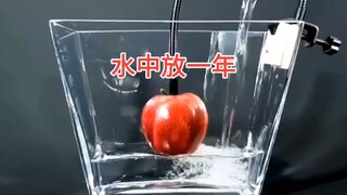 What happens if you leave an apple in water for a year?