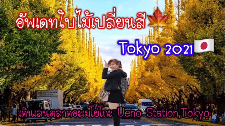 อัพเดท🍁ใบไม้เปลี่ยนสี โตเกียว 2021 🇯🇵เดินเที่ยวตลาดอะเมโยโกะ Ameyoko Market ที่สถานีอุเวโนะ uen