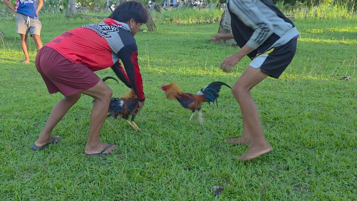 Earlybird