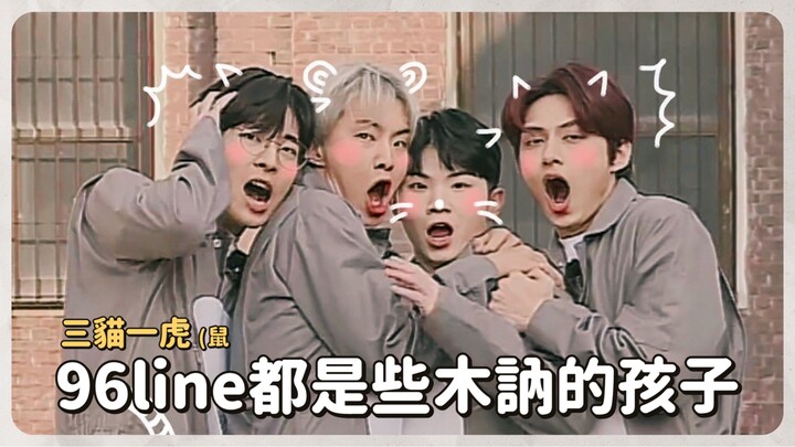 Seventeen / 96line đều là những cô cậu bé rụt rè, ít nói