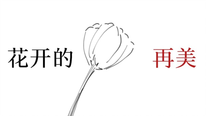 Tất cả các con quạ trên thế giới đều có màu đen "Vòng tròn ma thuật"