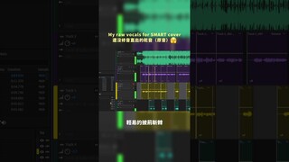 Smart Cover Chinese version #coversong #lesserafim