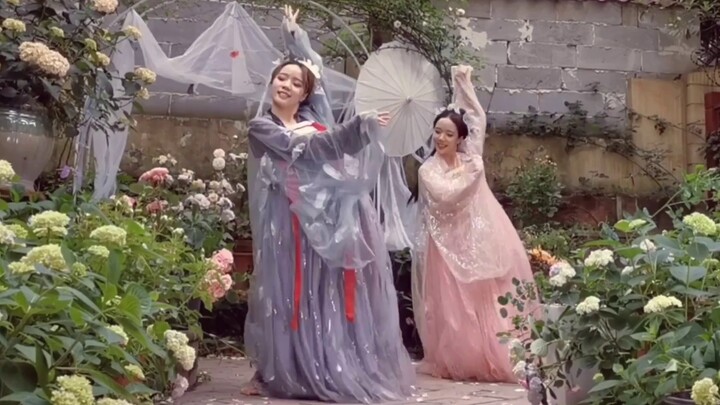 [Hati Kecil-Kemakmuran Kecil] Koreografi Asli "Bunga Cinta Kupu-Kupu·Hechu Yao"