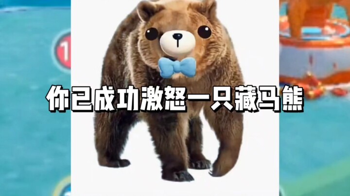 คุณได้ทำให้หมีทาร์ตัวหนึ่งโกรธจนสำเร็จแล้ว