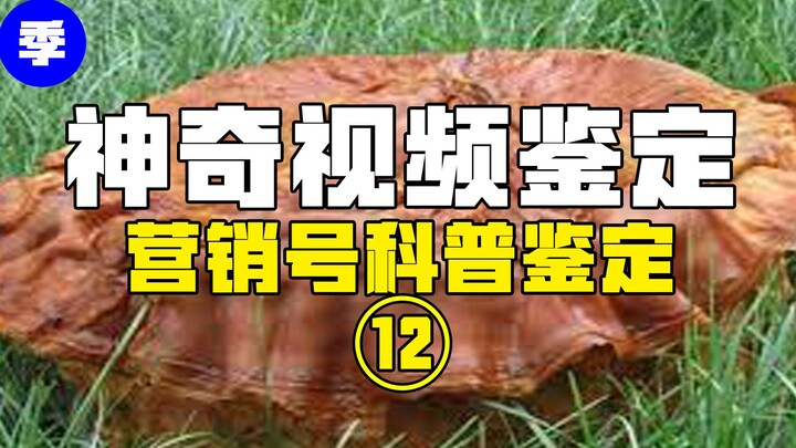 [Hot Item Verification] Is the main ingredient of Saisui really the same as in diapers? According to