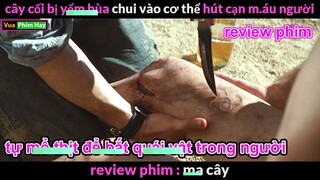 khi Cây Cối ký sinh vào cơ thể - review phim Ma Cây