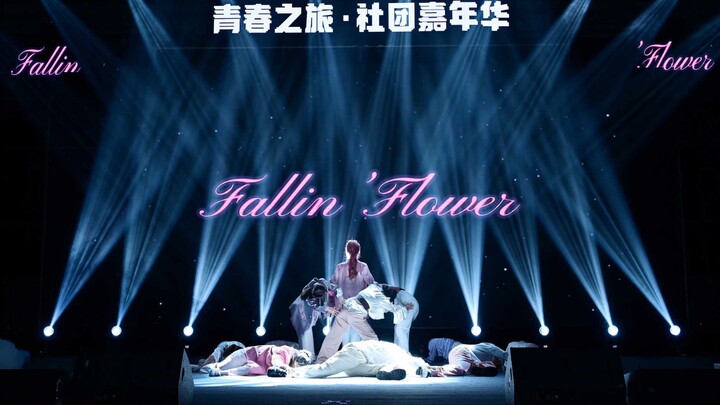 大学最后一次舞台，圆梦落花！