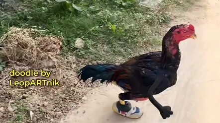 Kakakku sangat kuat