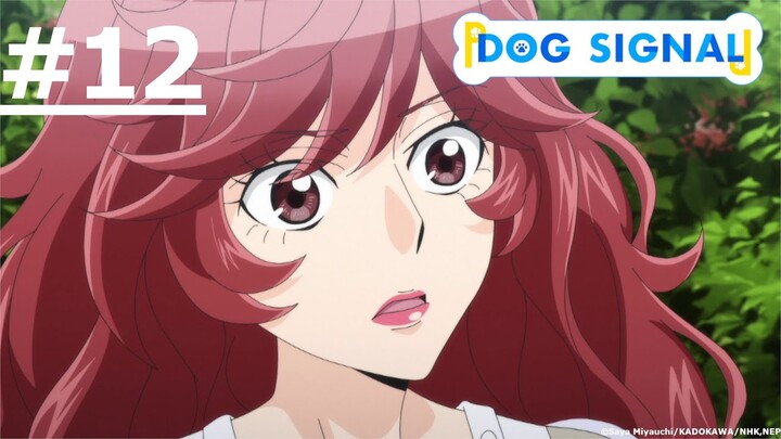 《愛犬訊號》#12 (繁中字幕 | 日語原聲)【Ani-One Asia】