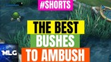The BEST Bushes For AMBUSHES #shorts
