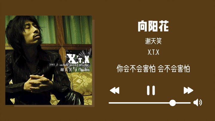 Vokal murni Xie Tianxiao "Bunga Matahari" [Kualitas Audio Lossless]