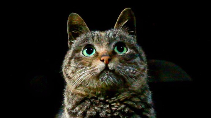 Kucing loreng desa ini suka duduk melamun di atas tungku dapur; saat bertatapan dengannya, rasanya s