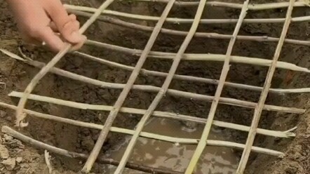 Do you know what this scene from your childhood was all about?