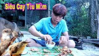Giúp 3 Em Chim Về Tự Nhiên Và Ẩm Thực Sinh Tồn | Dân Tộc Tây Bắc Tv