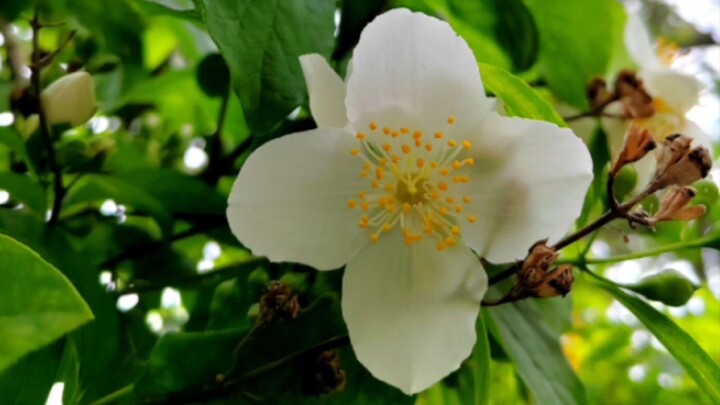 Little island of warm