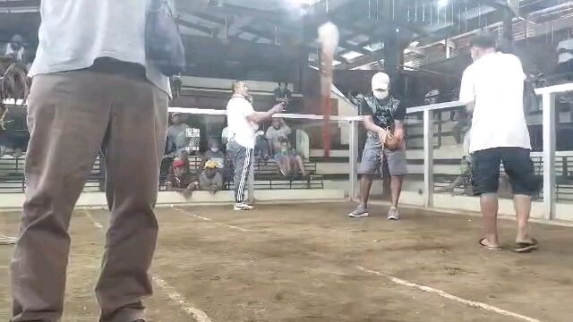 raptor sweater larry romero