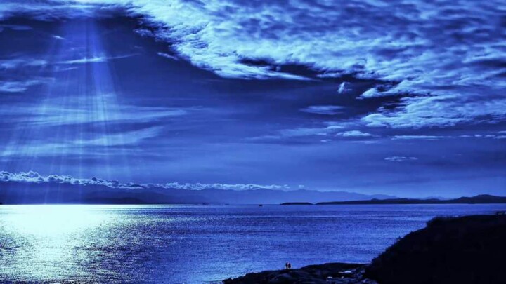 [Xingmang] Kita tidak bisa lagi melihat laut yang indah