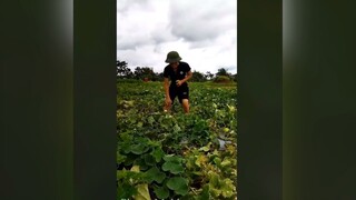 Chú bộ đội nghỉ dịch về nhà sẽ làm gì