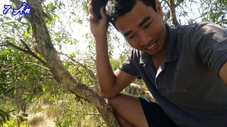 Đi tìm tổ chim cưỡng sau mùa lũ và thăm chỗ trồng hoa màu trong rừng - 7 Ân