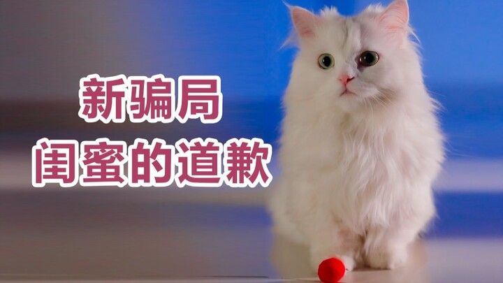 闺蜜吵架后的和好密码：145692