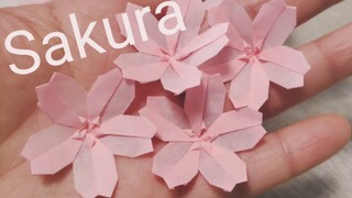 [Origami] สวยงามจริงๆ ฉันพับดอกซากุระที่สวยที่สุดแล้ว