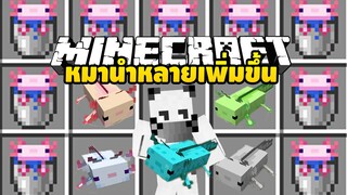 มายคราฟ หมาน้ำเพิ่มขึ้น [ More Axololts Mod 1.17.1 ] Minecraft