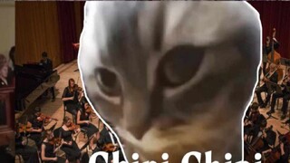 DNA vtuber Jepang tergerak saat menonton “Chipi Cats Epic Symphony”