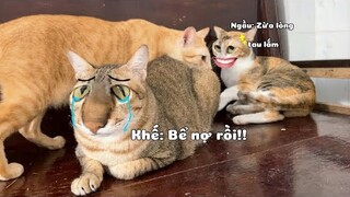 #537 Chủ Khế Thúi bể nợ Vì Thú Vui Tao Nhã