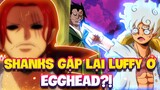 SHANKS GẶP LẠI LUFFY Ở EGGHEAD?! | NHỮNG KẺ SẼ ĐẾN EGGHEAD VỚI LUFFY