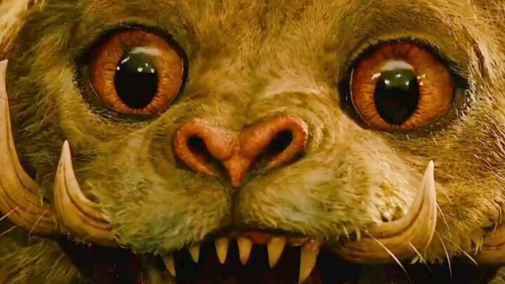 You can also keep one of these pets!