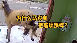 Mengapa kaca tidak pecah saat ditendang kuda, tetapi pecah saat jatuh ke tanah?