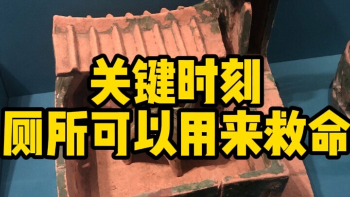 Mèo cổ đại | Nhà vệ sinh bằng gốm thời Hán bảo mệnh ba nghìn