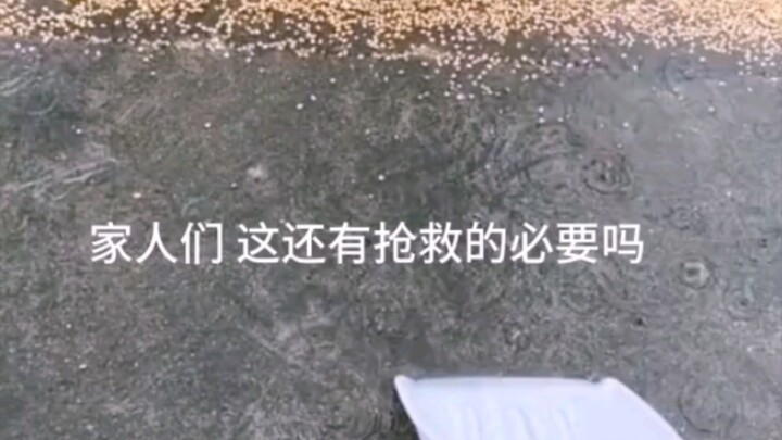 妈妈回来不会打我吧呜呜呜