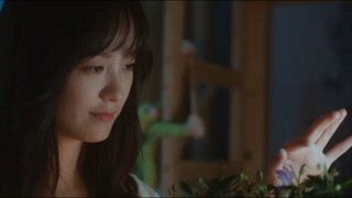 Film editing | The Revenge of Plant | She's infected