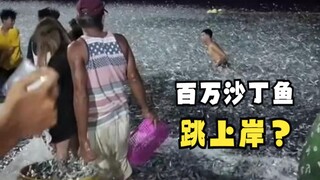 Trước trận động đất, hàng triệu con cá mòi đồng loạt nhảy lên bờ!