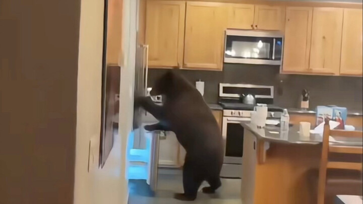 Should I run when I see this? The pressure is maxed out! What kind of legendary moments are these?