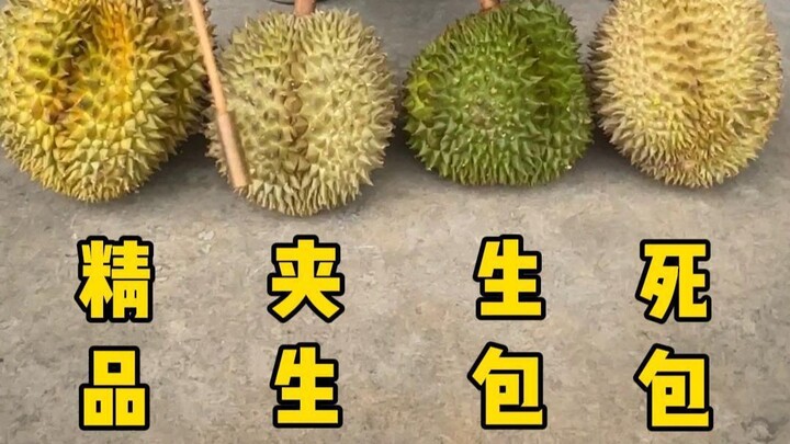 Setelah menyaksikan ahli memilih durian, akhirnya saya tahu cara memilih durian yang tepat