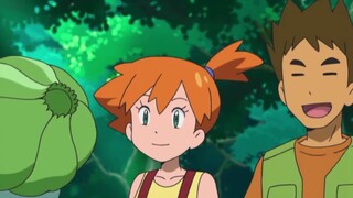 Pokémon 丨Why is Bulbasaur called Garlic Turtle?