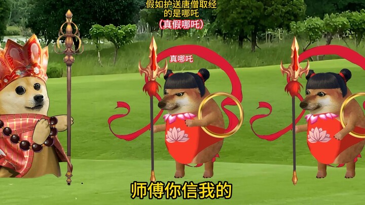 真假哪吒