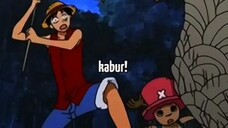 moment ketika Luffy takut dengan lebah🤣🤣