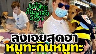 หมูทะกินหมูทะ แม่นู๋กลัวเป็นตาย้าน กินไปได้ไงเนี่ย ลงเอยสุดฮา นางสาย หมูทะ