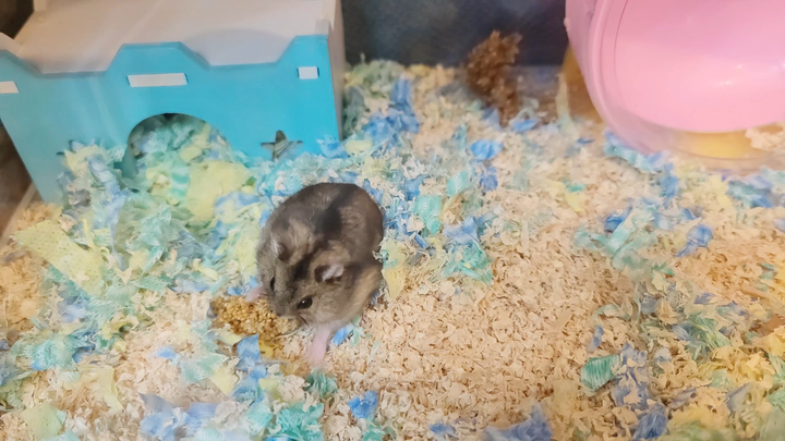 كانت الاتفاقية أن الصديق الثاني سيُدعى "يوان داباو"!