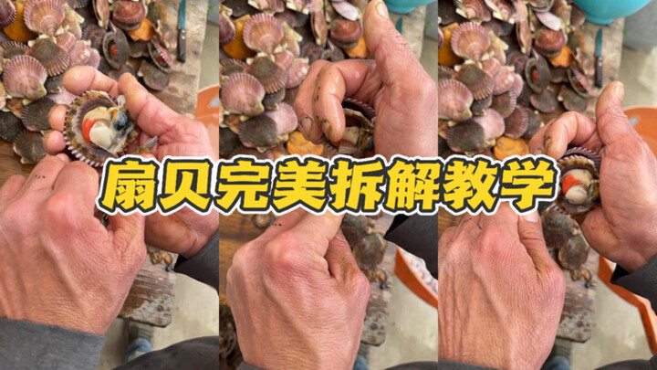 Just copy whatever you see! In 5 seconds, you can perfectly clean a scallop!