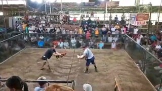 MRM boots....n Action